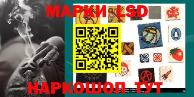 spice Кулебаки