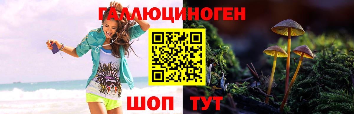Галлюциногенные грибы GOLDEN TEACHER Зеленогорск