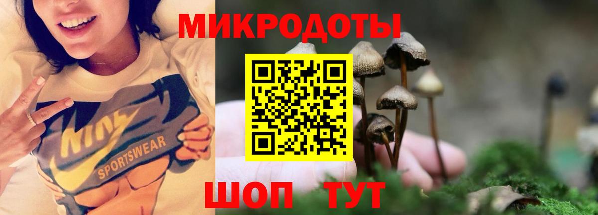 где продают   Вход с VPN  Зеленогорск  Галлюциногенные грибы Psilocybine cubensis 